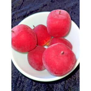 Flocked Apple Decor, Christmas, Bowl Filler, Display, Velvet, Vintage